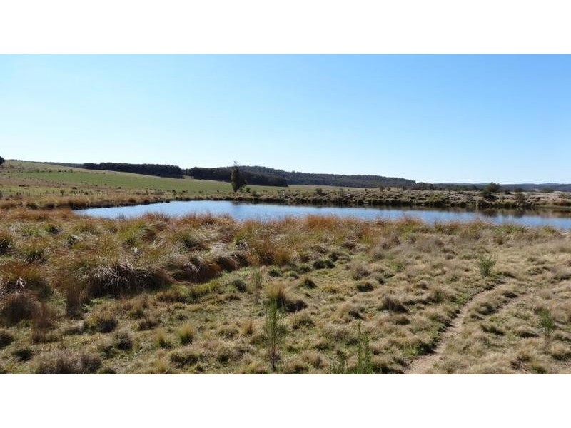 “Tarlo Vale East” Greywoodsiding   Road, Woodhouselee NSW 2580