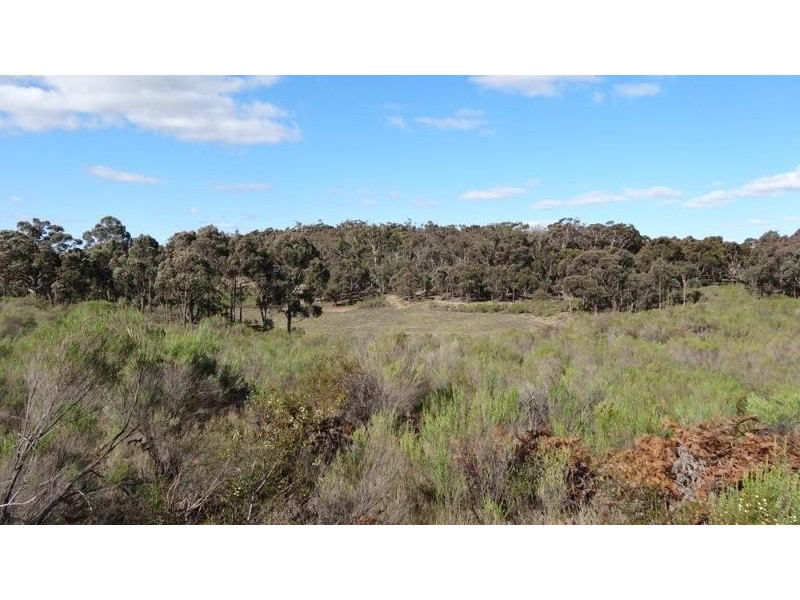 “Tarlo Vale East” Greywoodsiding   Road, Woodhouselee NSW 2580