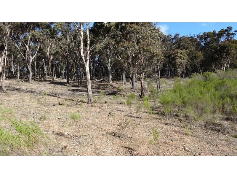 “Tarlo Vale East” Greywoodsiding   Road, Woodhouselee NSW 2580