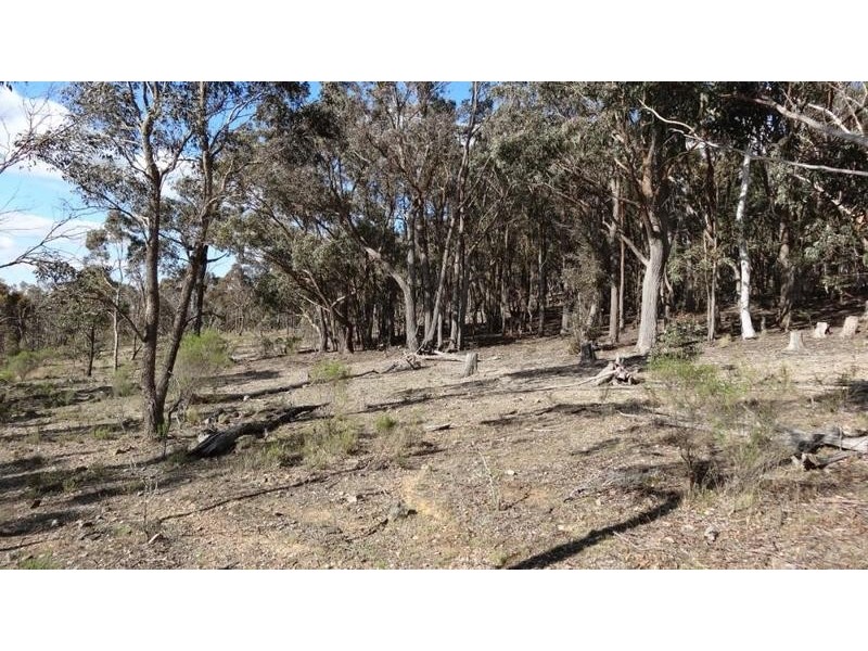 “Tarlo Vale East” Greywoodsiding   Road, Woodhouselee NSW 2580