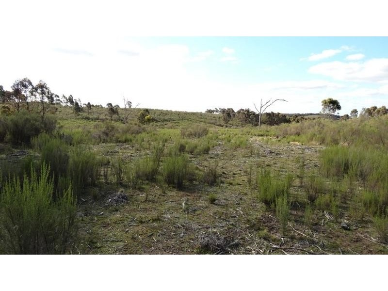 “Tarlo Vale East” Greywoodsiding   Road, Woodhouselee NSW 2580