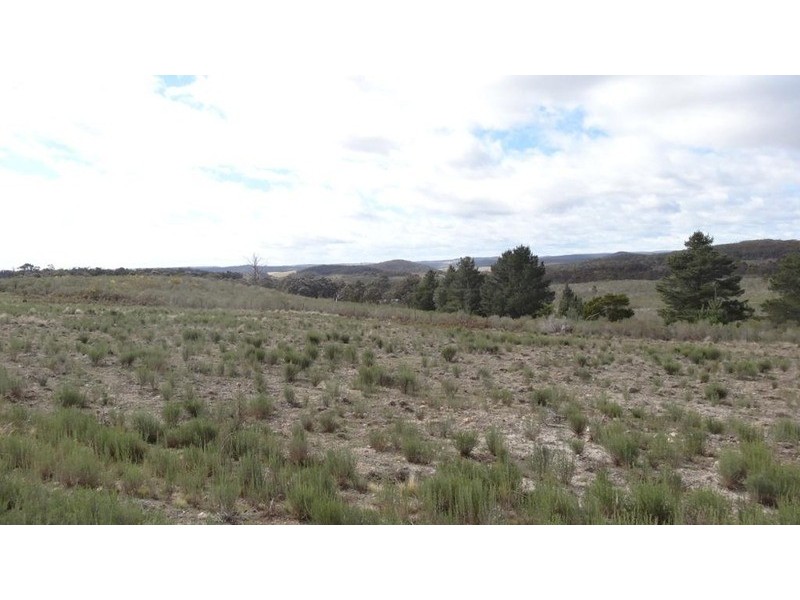 “The Range” Off Greywoodsiding  Road, Woodhouselee NSW 2580