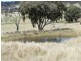 Lot 7 Greenmantle  Road, Bigga NSW 2583