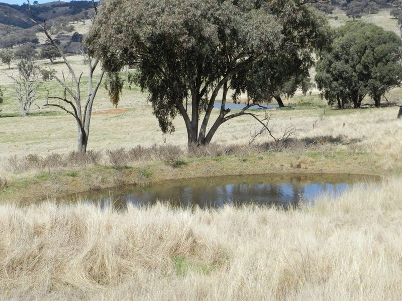 Lot 7 Greenmantle  Road, Bigga NSW 2583