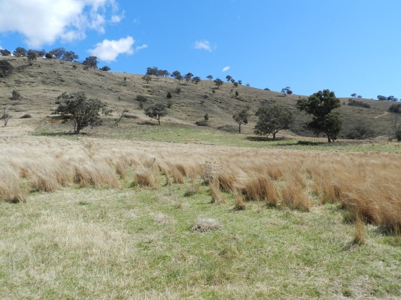 Lot 7 Greenmantle  Road, Bigga NSW 2583