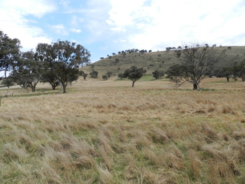 Lot 7 Greenmantle  Road, Bigga NSW 2583