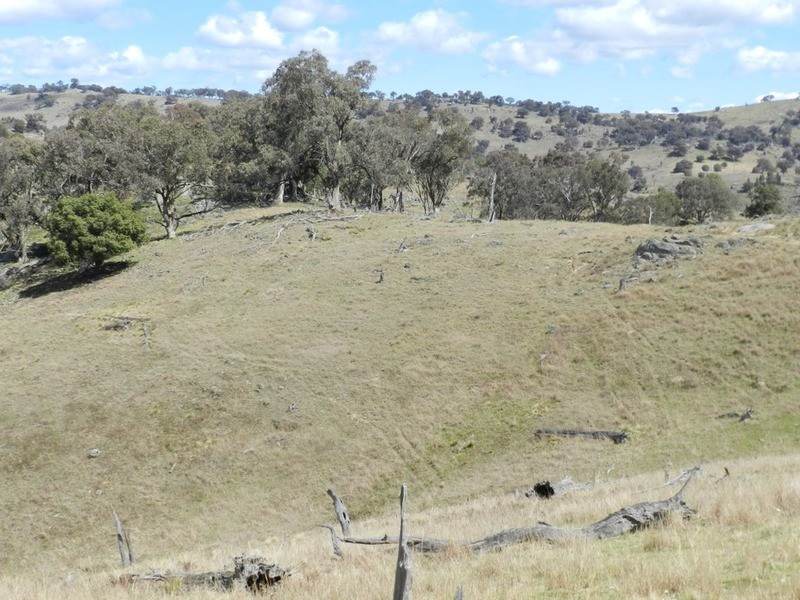 Lot 7 Greenmantle  Road, Bigga NSW 2583