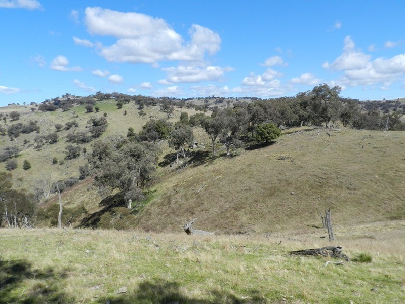 Lot 7 Greenmantle  Road, Bigga NSW 2583