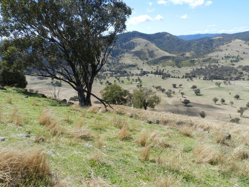 Lot 7 Greenmantle  Road, Bigga NSW 2583