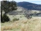 Lot 7 Greenmantle  Road, Bigga NSW 2583