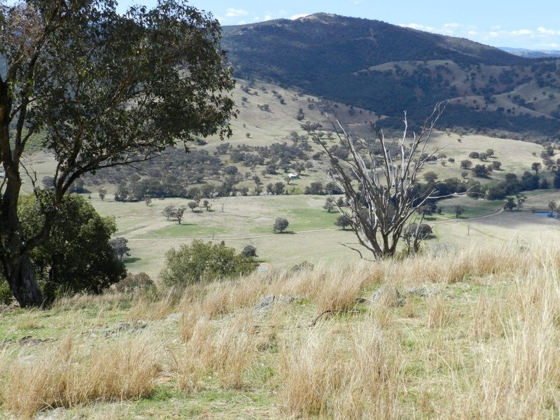 Lot 7 Greenmantle  Road, Bigga NSW 2583
