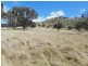 Lot 7 Greenmantle  Road, Bigga NSW 2583
