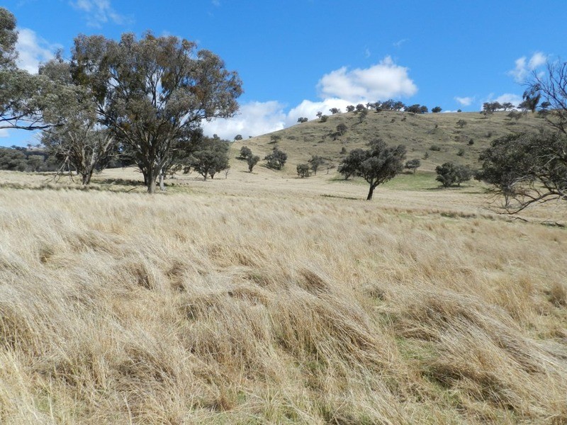 Lot 7 Greenmantle  Road, Bigga NSW 2583