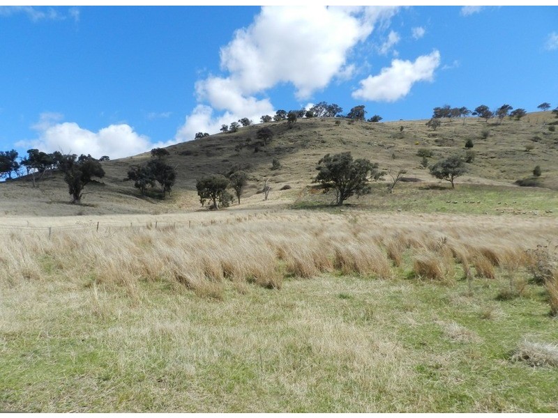 Lot 7 Greenmantle  Road, Bigga NSW 2583