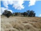 Lot 7 Greenmantle  Road, Bigga NSW 2583