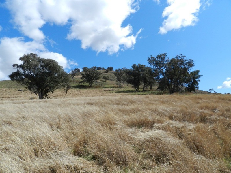 Lot 7 Greenmantle  Road, Bigga NSW 2583