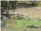Lot 5 Greenmantle Road, Bigga NSW 2583