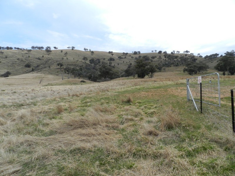 Lot 5 Greenmantle Road, Bigga NSW 2583