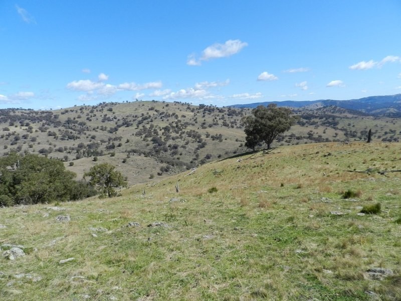 Lot 5 Greenmantle Road, Bigga NSW 2583