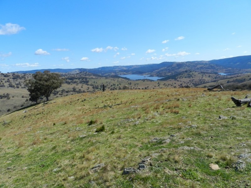 Lot 5 Greenmantle Road, Bigga NSW 2583