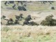 Lot 5 Greenmantle Road, Bigga NSW 2583