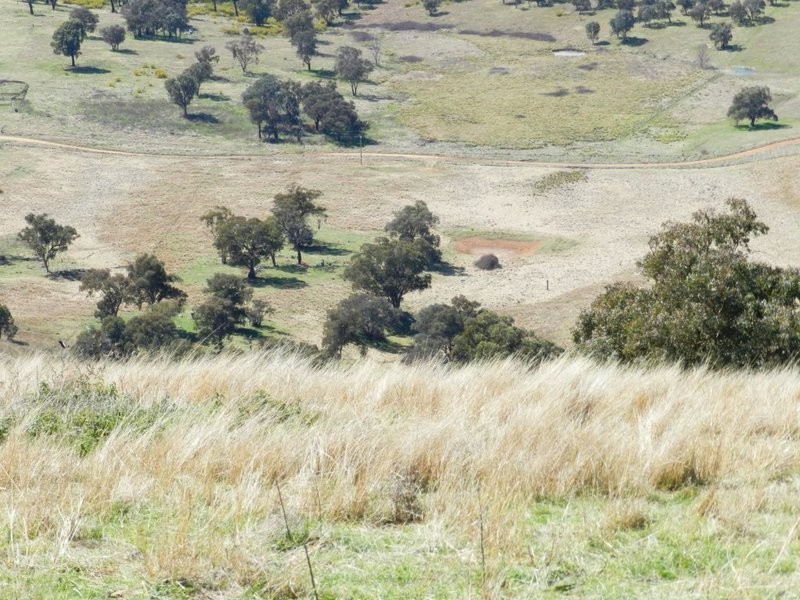 Lot 5 Greenmantle Road, Bigga NSW 2583