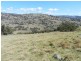 Lot 5 Greenmantle Road, Bigga NSW 2583