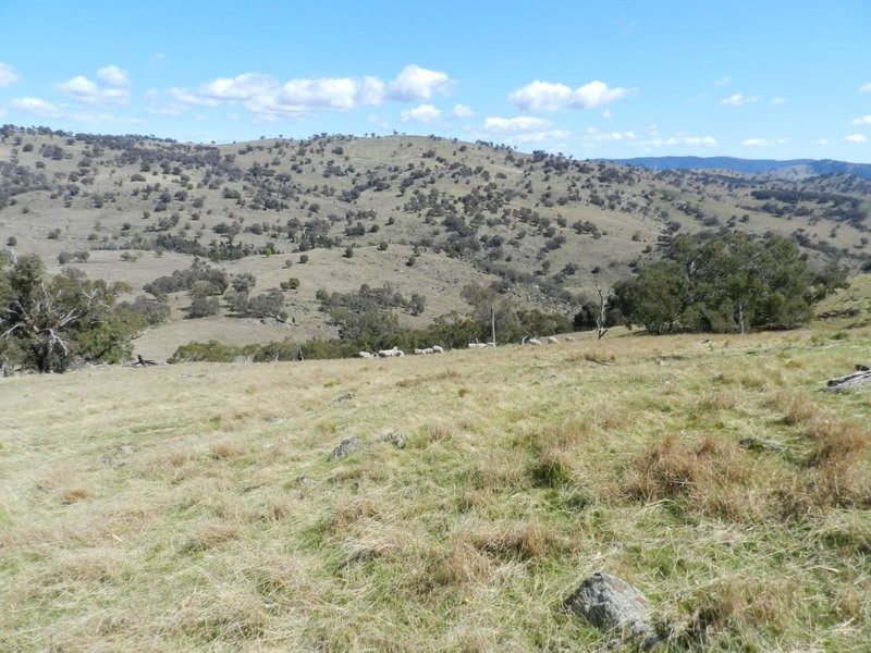 Lot 5 Greenmantle Road, Bigga NSW 2583