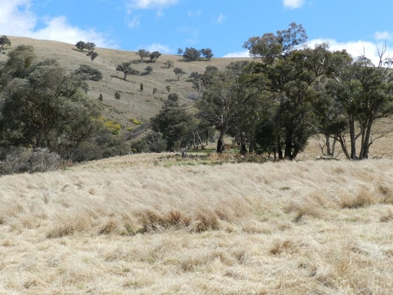 Lot 5 Greenmantle Road, Bigga NSW 2583