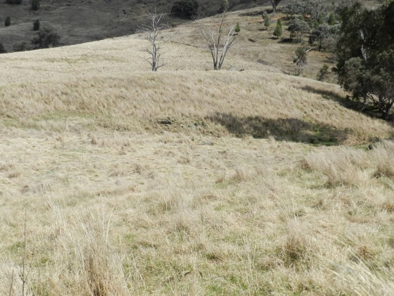Lot 5 Greenmantle Road, Bigga NSW 2583