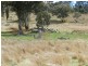 Lot 5 Greenmantle Road, Bigga NSW 2583