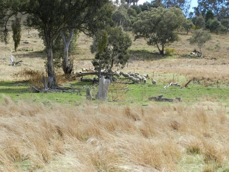 Lot 5 Greenmantle Road, Bigga NSW 2583