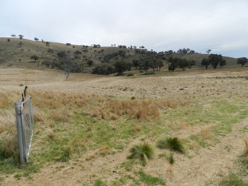 Lot 5 Greenmantle Road, Bigga NSW 2583