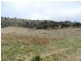 Lot 5 Greenmantle Road, Bigga NSW 2583