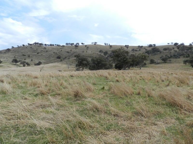 Lot 5 Greenmantle Road, Bigga NSW 2583