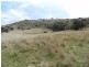 Lot 5 Greenmantle Road, Bigga NSW 2583