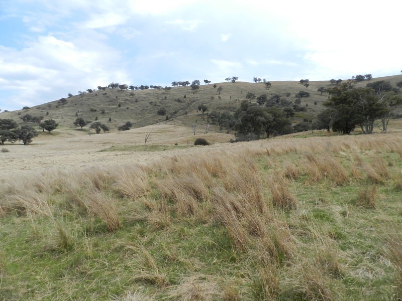 Lot 5 Greenmantle Road, Bigga NSW 2583