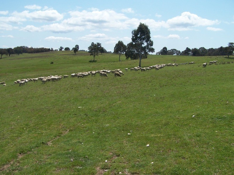 Lot 1 Karinya Road, Binda NSW 2583