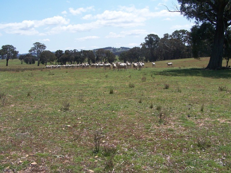 Lot 1 Karinya Road, Binda NSW 2583