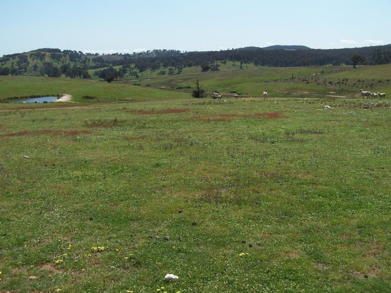 Lot 2 Karinya Road, Binda NSW 2583