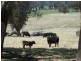 ‘Somerset’ 4067 Taralga  Road, Taralga NSW 2580