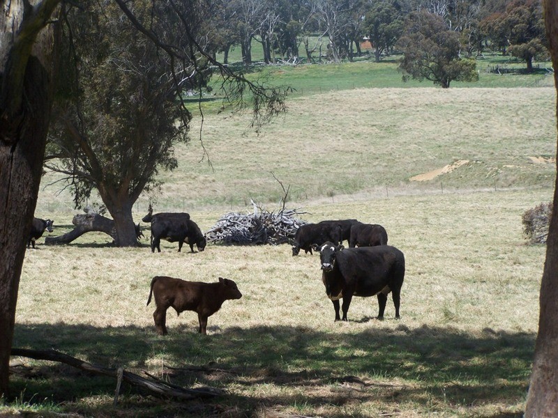 ‘Somerset’ 4067 Taralga  Road, Taralga NSW 2580