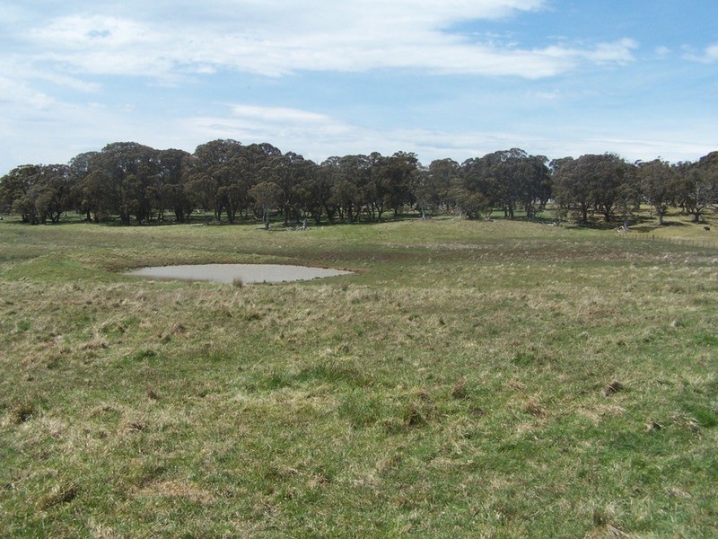 ‘Somerset’ 4067 Taralga  Road, Taralga NSW 2580