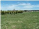 ‘Somerset’ 4067 Taralga  Road, Taralga NSW 2580