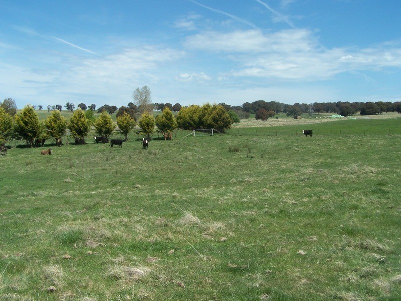 ‘Somerset’ 4067 Taralga  Road, Taralga NSW 2580