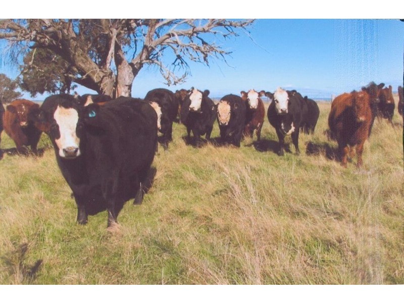 ‘Somerset’ 4067 Taralga  Road, Taralga NSW 2580