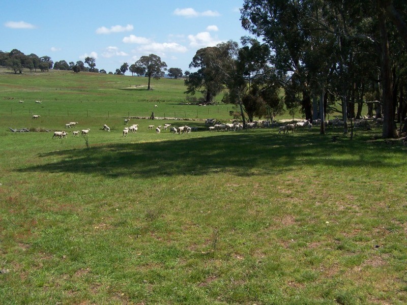 Lots 1 & 2 Karinya  Road, Binda NSW 2583