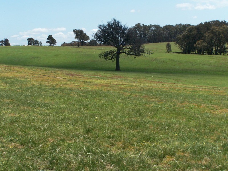 Lots 1 & 2 Karinya  Road, Binda NSW 2583