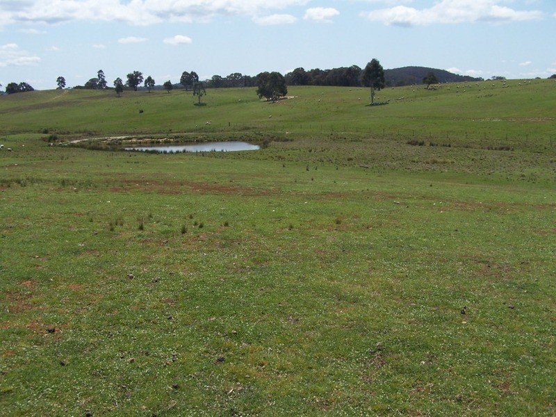 Lots 1 & 2 Karinya  Road, Binda NSW 2583