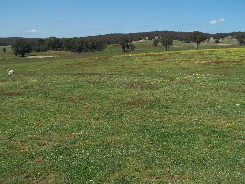 Lots 1 & 2 Karinya  Road, Binda NSW 2583